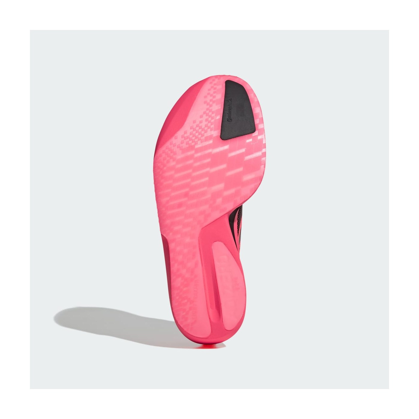 Adidas Adizero Adios Pro 5, vue de la tige et du laçage