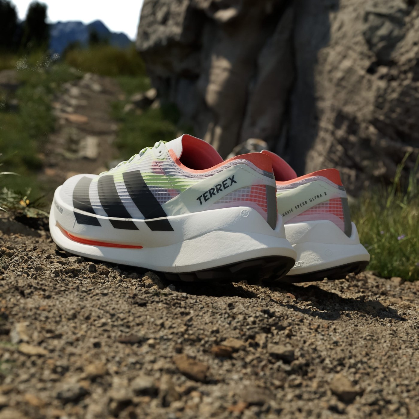 Adidas Terrex Agravic Speed Ultra 2 vue arrière talon TERREX branding