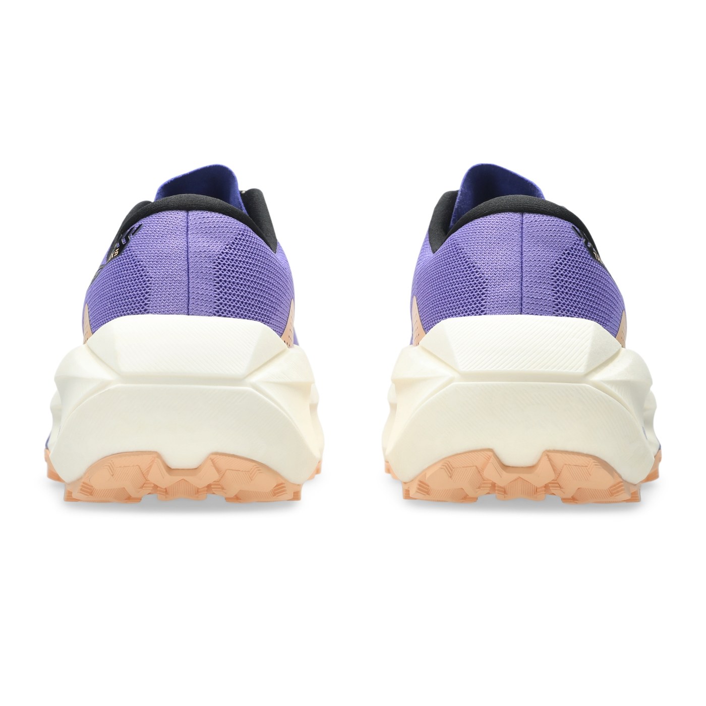 Asics Trabuco Max 5 vue arrière de la paire