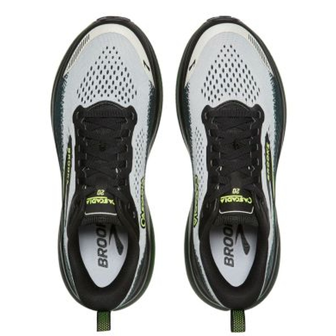 Brooks Cascadia 20 : le test complet RunMorph
