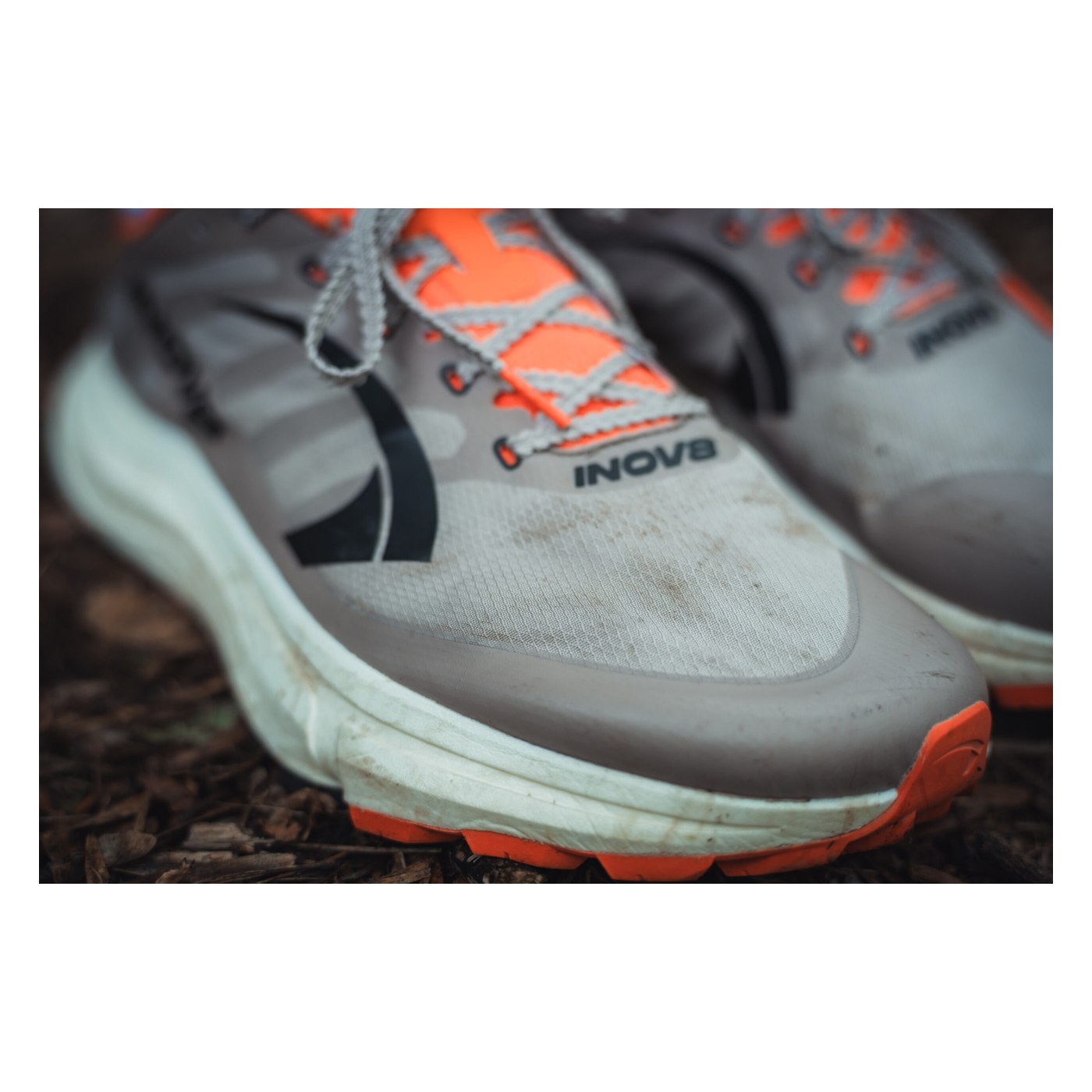 Détail du boîtier à orteils et de la tige de la Inov-8 TrailFly Pro