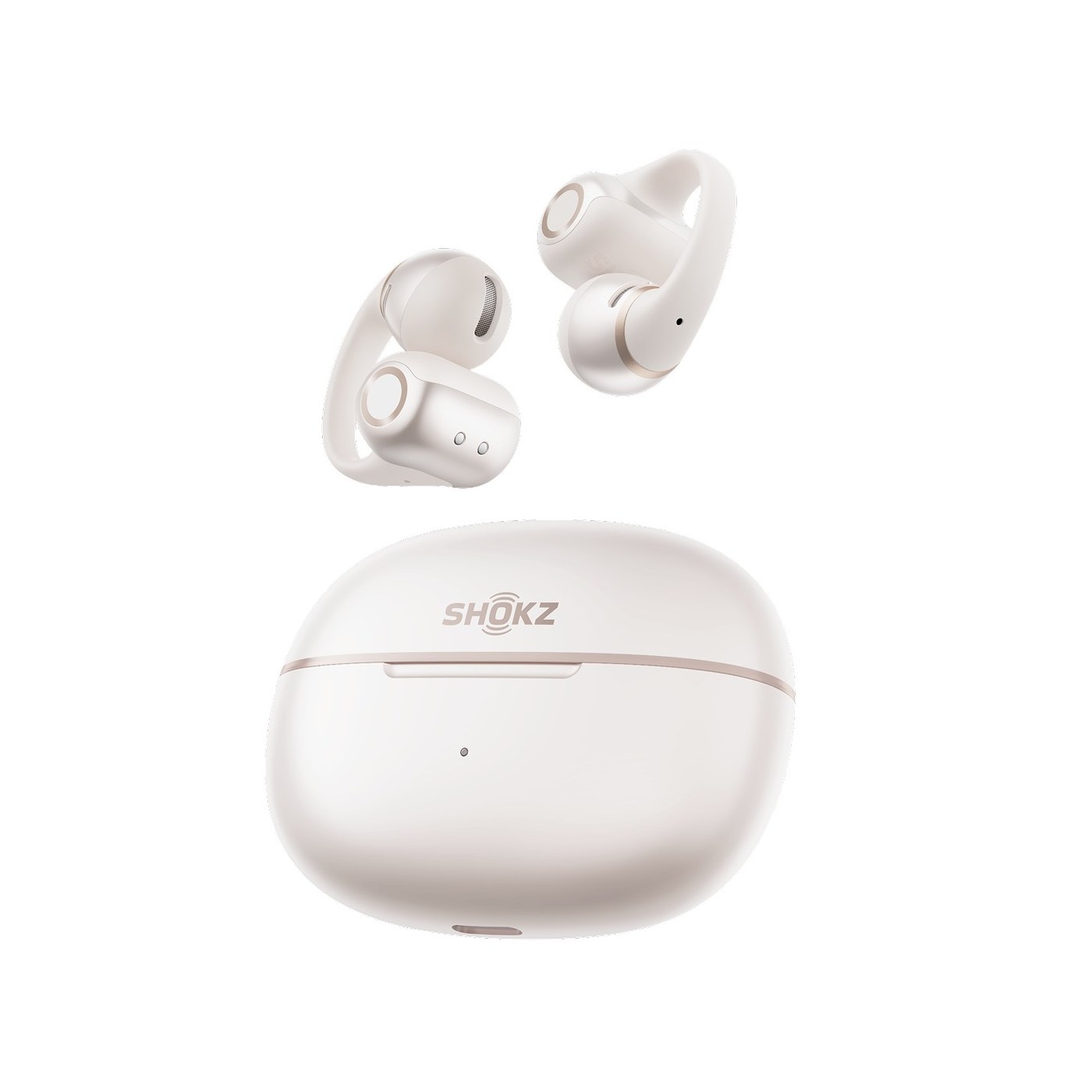 Shokz OpenDots 2